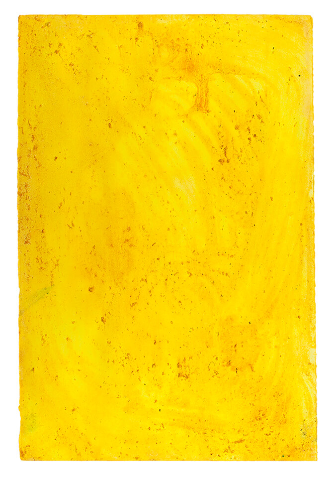 curcuma papel 18.jpg